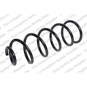 Coil Spring - Rear