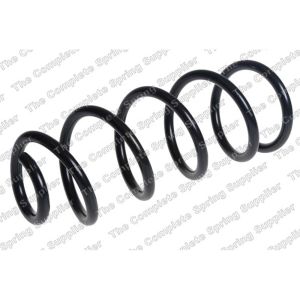 Coil Spring - Rear