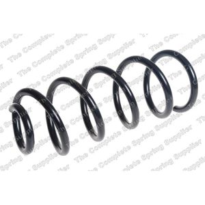 Coil Spring - Rear