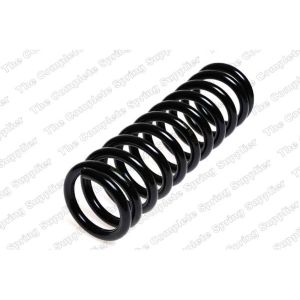 Coil Spring - Rear