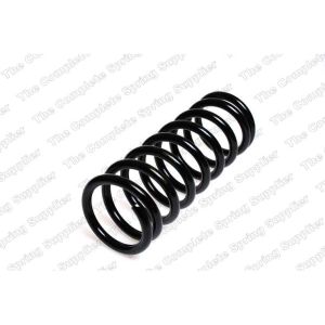 Coil Spring - Rear