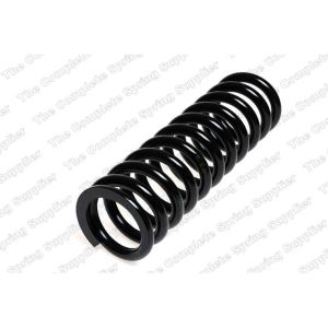 Coil Spring - Rear