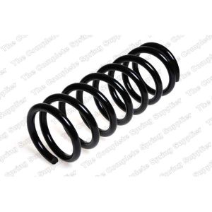 Coil Spring - Rear