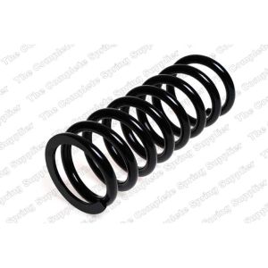 Coil Spring - Rear