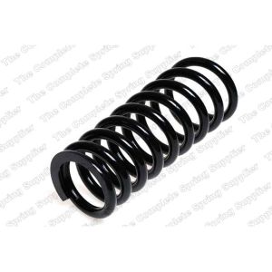 Coil Spring - Rear