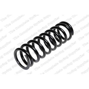 Coil Spring - Rear