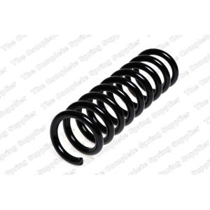 Coil Spring - Rear