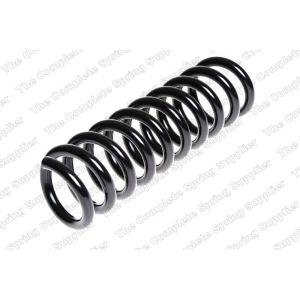 Coil Spring - Rear