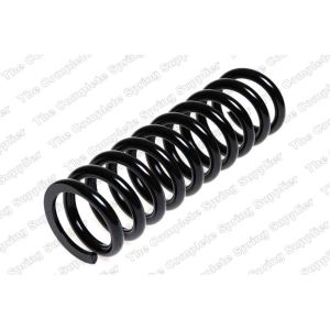 Coil Spring - Rear