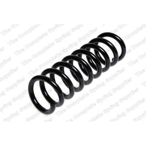 Coil Spring - Rear