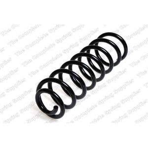 Coil Spring - Rear