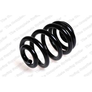 Coil Spring - Rear