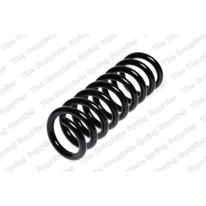 Coil Spring - Rear