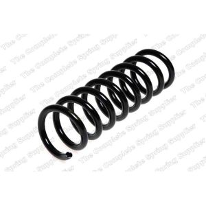 Coil Spring - Rear