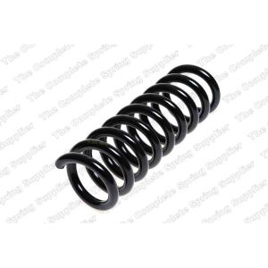 Coil Spring - Rear