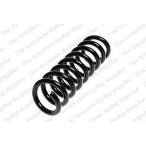 Coil Spring - Rear