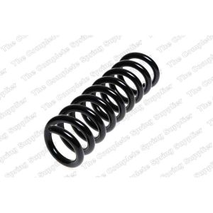 Coil Spring - Rear