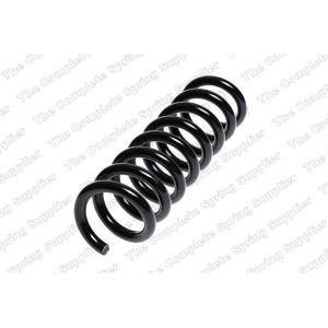 Coil Spring - Rear