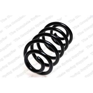 Coil Spring - Rear