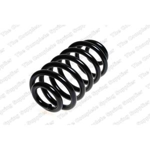 Coil Spring - Rear