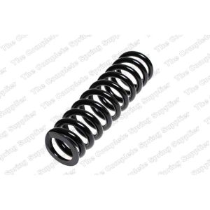 Coil Spring - Rear