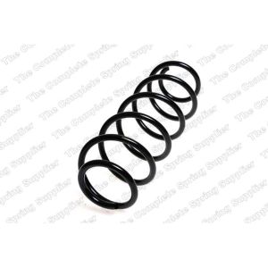 Coil Spring - Rear