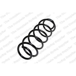 Coil Spring - Rear