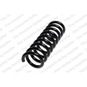 Coil Spring - Rear