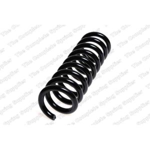 Coil Spring - Rear