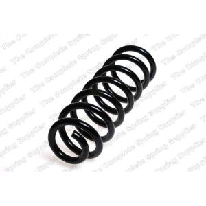 Coil Spring - Rear