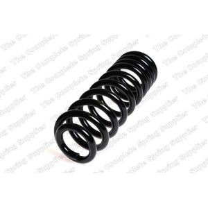 Coil Spring - Rear