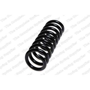 Coil Spring - Rear