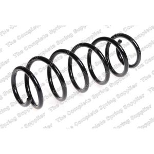 Coil Spring - Rear