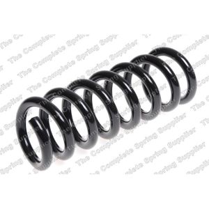 Coil Spring - Rear