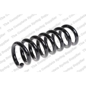 Coil Spring - Rear