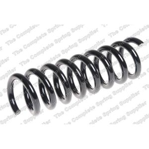 Coil Spring - Rear