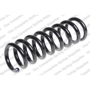 Coil Spring - Rear