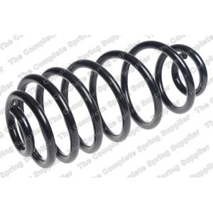 Coil Spring - Rear