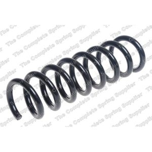 Coil Spring - Rear