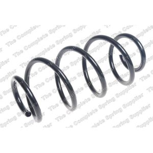 Coil Spring - Rear