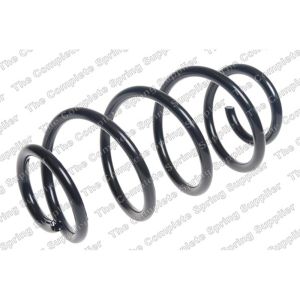 Coil Spring - Rear