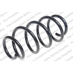 Coil Spring - Rear