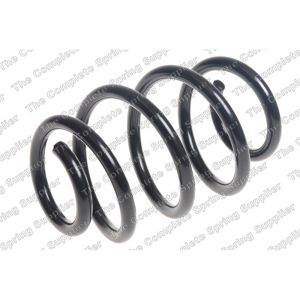 Coil Spring - Rear