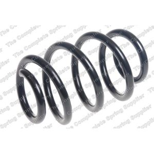 Coil Spring - Rear