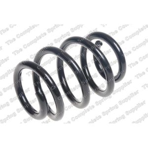 Coil Spring - Rear