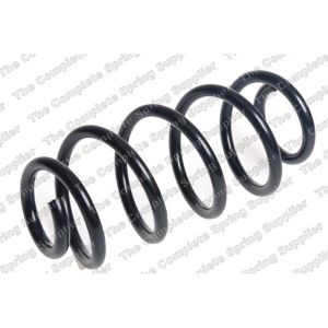 Coil Spring - Rear