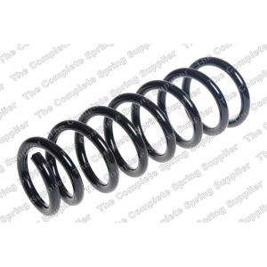 Coil Spring - Rear