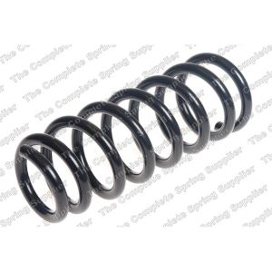 Coil Spring - Rear