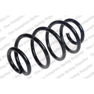 Coil Spring - Rear