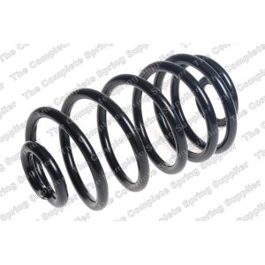 Coil Spring - Rear